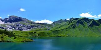 Czego nie wolno jeść przy wysokich Trojglicerydach?